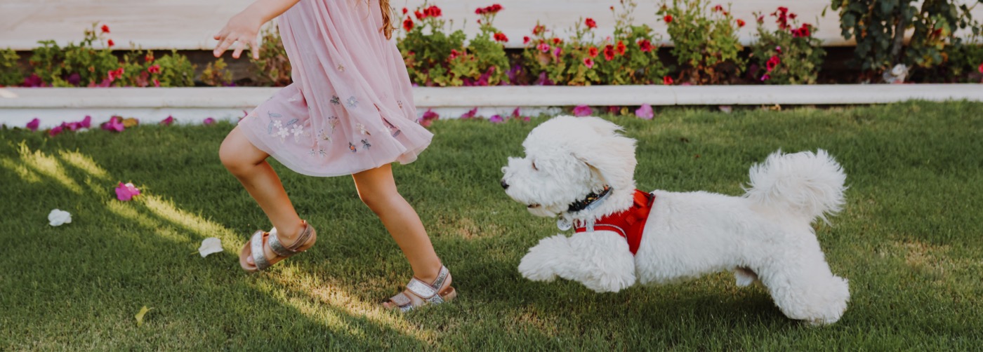 DFW DogWatch, Fort Worth, Texas | Outdoor Hidden Dog Fences Slider Image